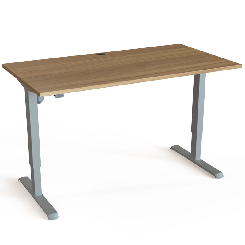 Standard two-leg height adjustable desk